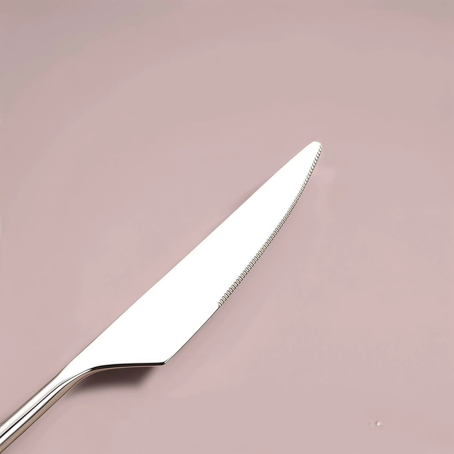 Ensemble de couverts en inox